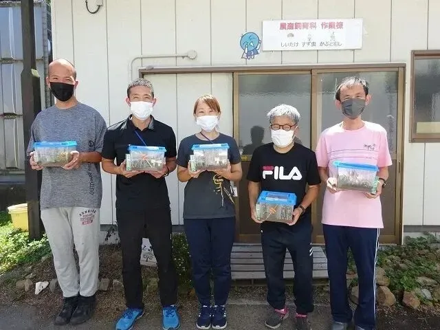 すず虫販売終了しました