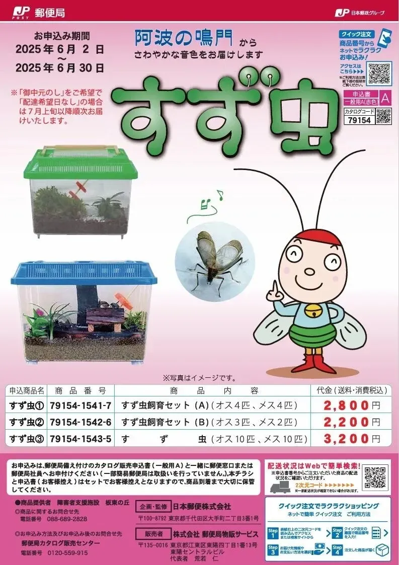 すず虫の販売始まりました！！